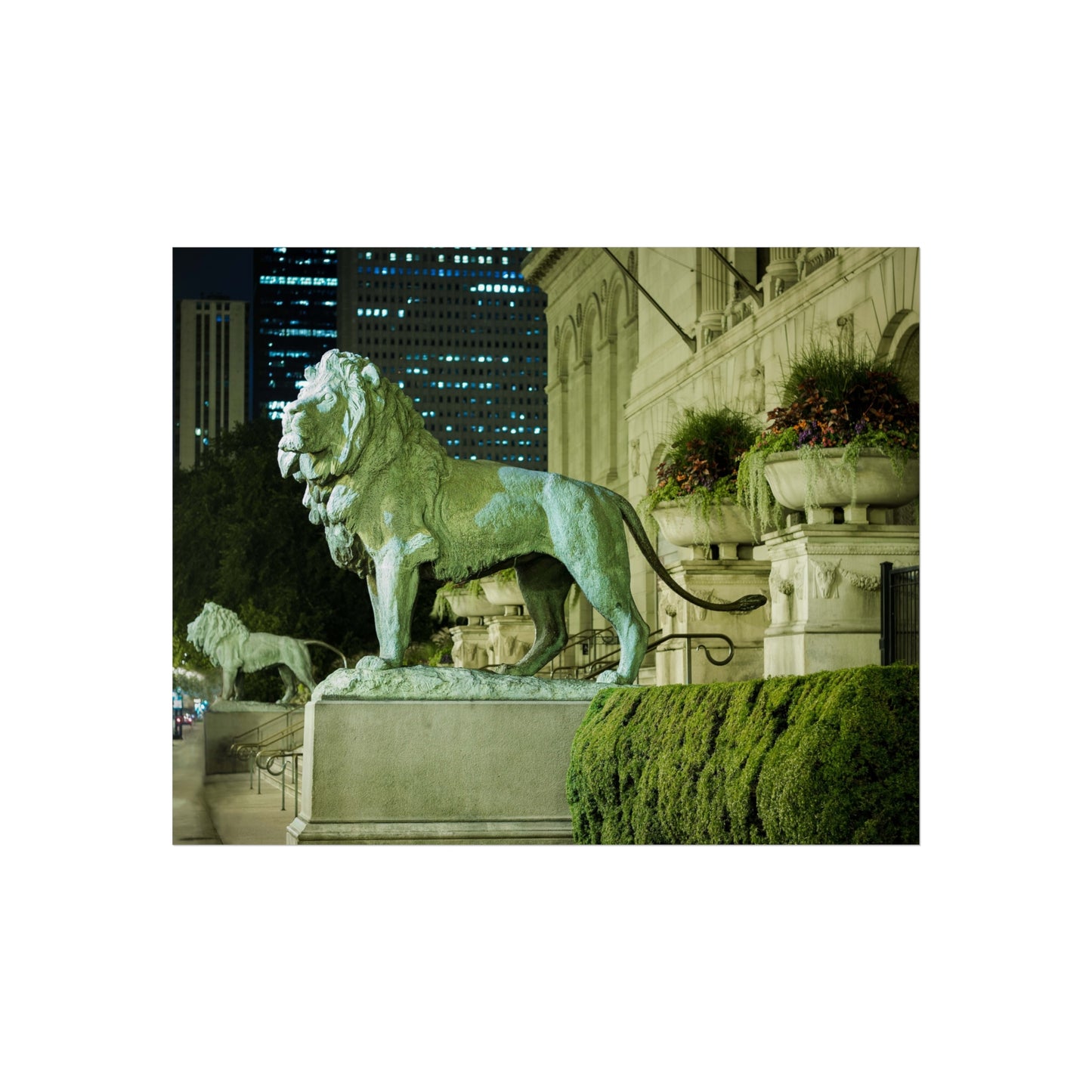 ART INSTITUTE LIONS Photography Print