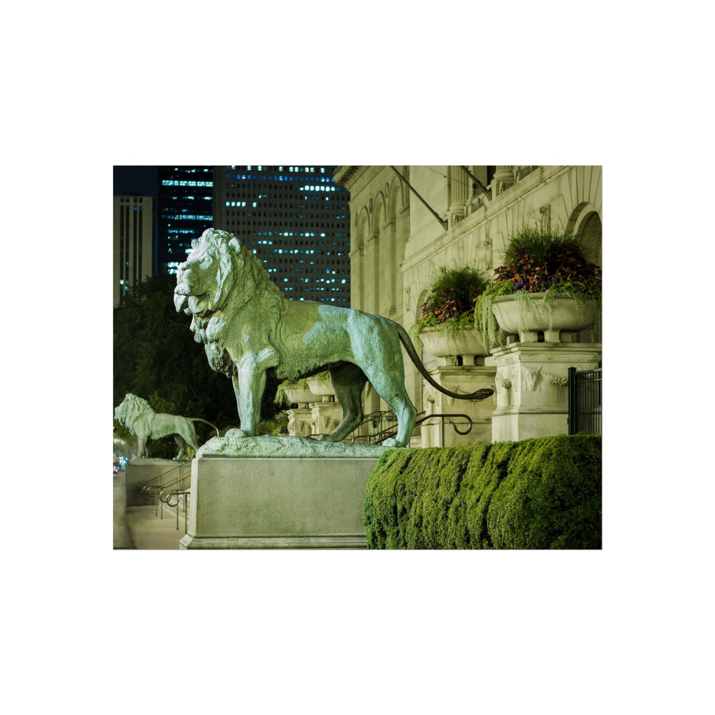 ART INSTITUTE LIONS Photography Print