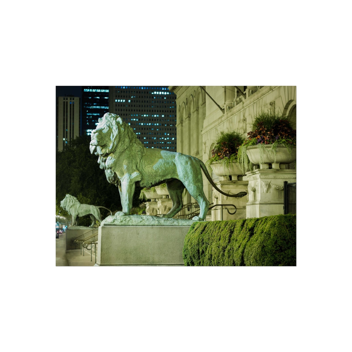 ART INSTITUTE LIONS Photography Print