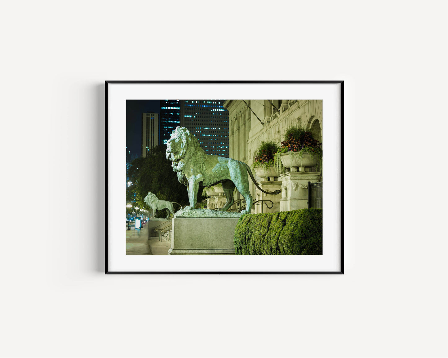 ART INSTITUTE LIONS Photography Print