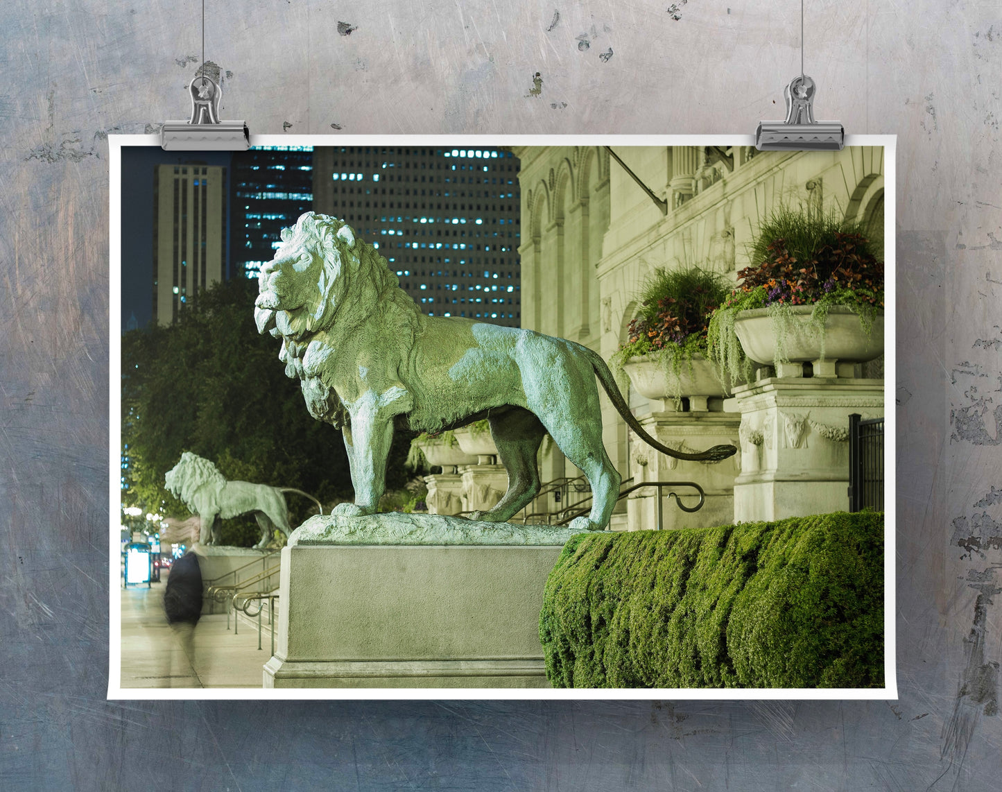 ART INSTITUTE LIONS Photography Print