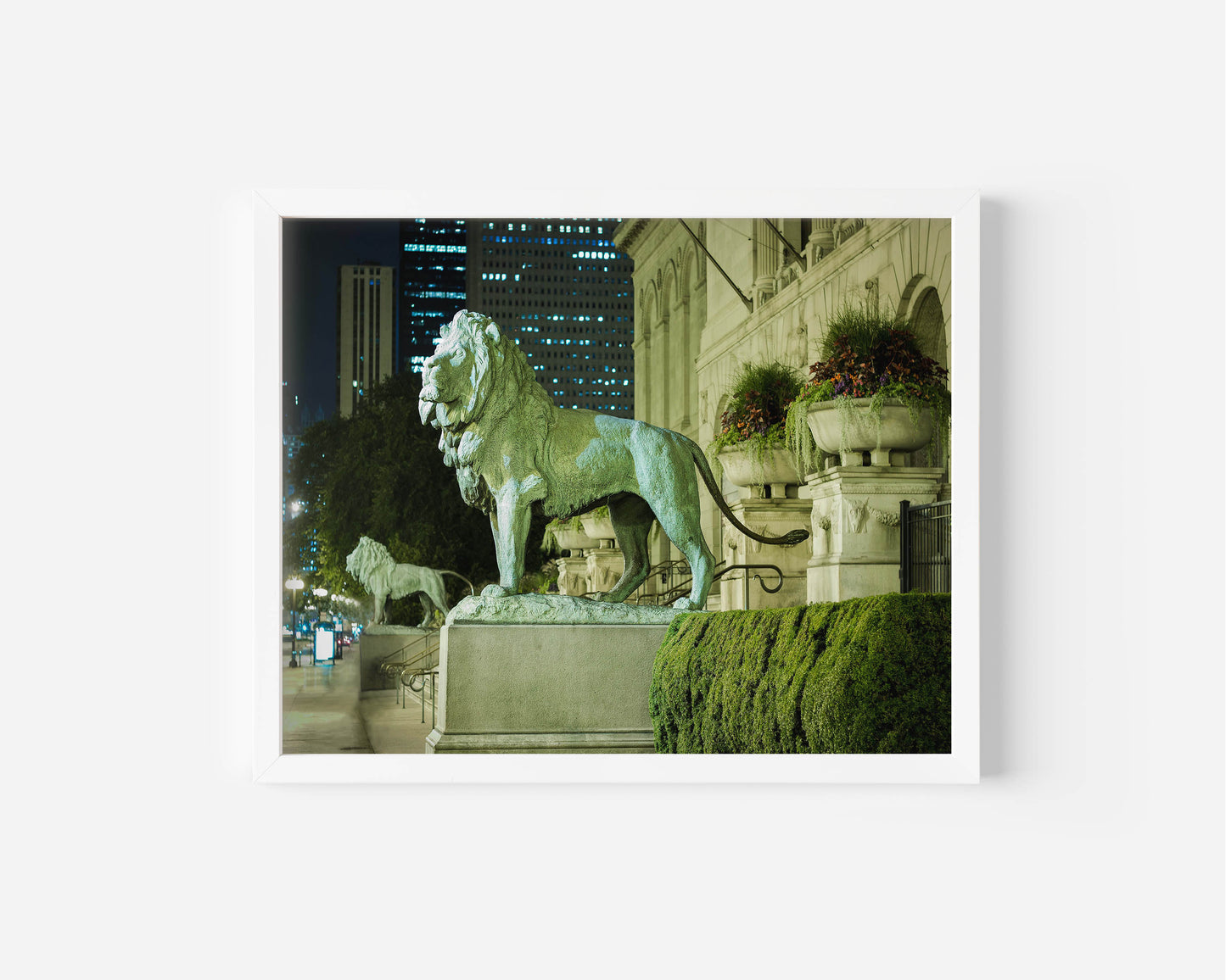 ART INSTITUTE LIONS Photography Print